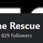 ScreenHunter_3845.png