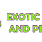 ScreenHunter_4904.png