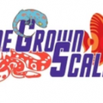 ScreenHunter_5516.png