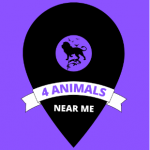 ScreenHunter_6151.png