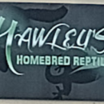 ScreenHunter_6298.png