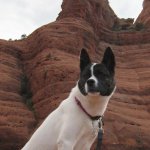 SedonaJEEPtour_136.jpg