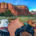 Sedona_GoPetFriendly_3-e1558112807300.jpg