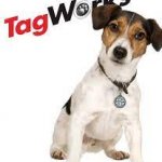 TagWorks_122.jpg