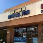 Tropical_Fish_of_Garden_Grove.jpg