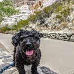 Truffles-at-Montezuma-Castle-National-Monument.jpg