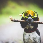Tune-Up-Your-Trail-Dog-9836.jpg