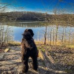 Village_State_Park-27-L.jpg