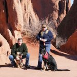 Whillard's dining area