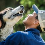 aeed129.jpg