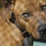 aq70.jpg
