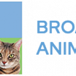 asdas.png