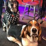 Whillard's dining area