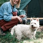 campground9-0e65537f93f95d7a0c00a1f4a0518aaf.jpg