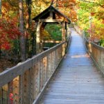 cheaha_board_walk_0.jpg