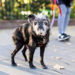 er117.jpg