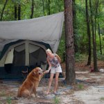 large2_MCU168_6_tent.jpg
