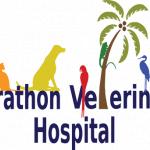 marathon-vet-hospitalasdasd.png