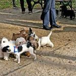 Whillard's dining area