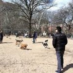 Whillard's dining area