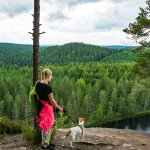 trail4-1a2c5fc654ef6bdd7fe16063365dab67.jpg