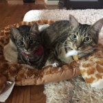 ty80.jpg