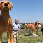 Whillard's dining area