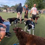 willow-creek-dog-park.jpg