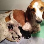 wr23.jpg