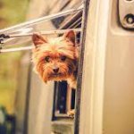 xc24.jpg