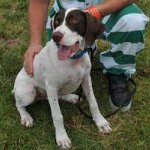 Whillard's dining area