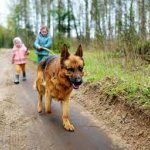 zn4ewwz7j.jpg