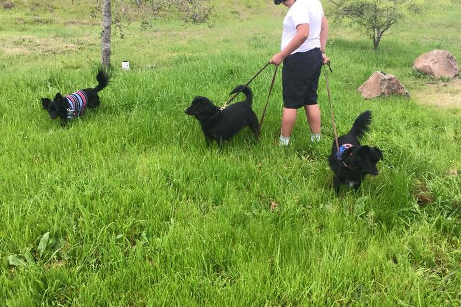 1042633915597797176144001787654627891493839n