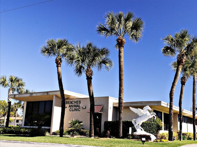 123123123213123123213213123123123123123123