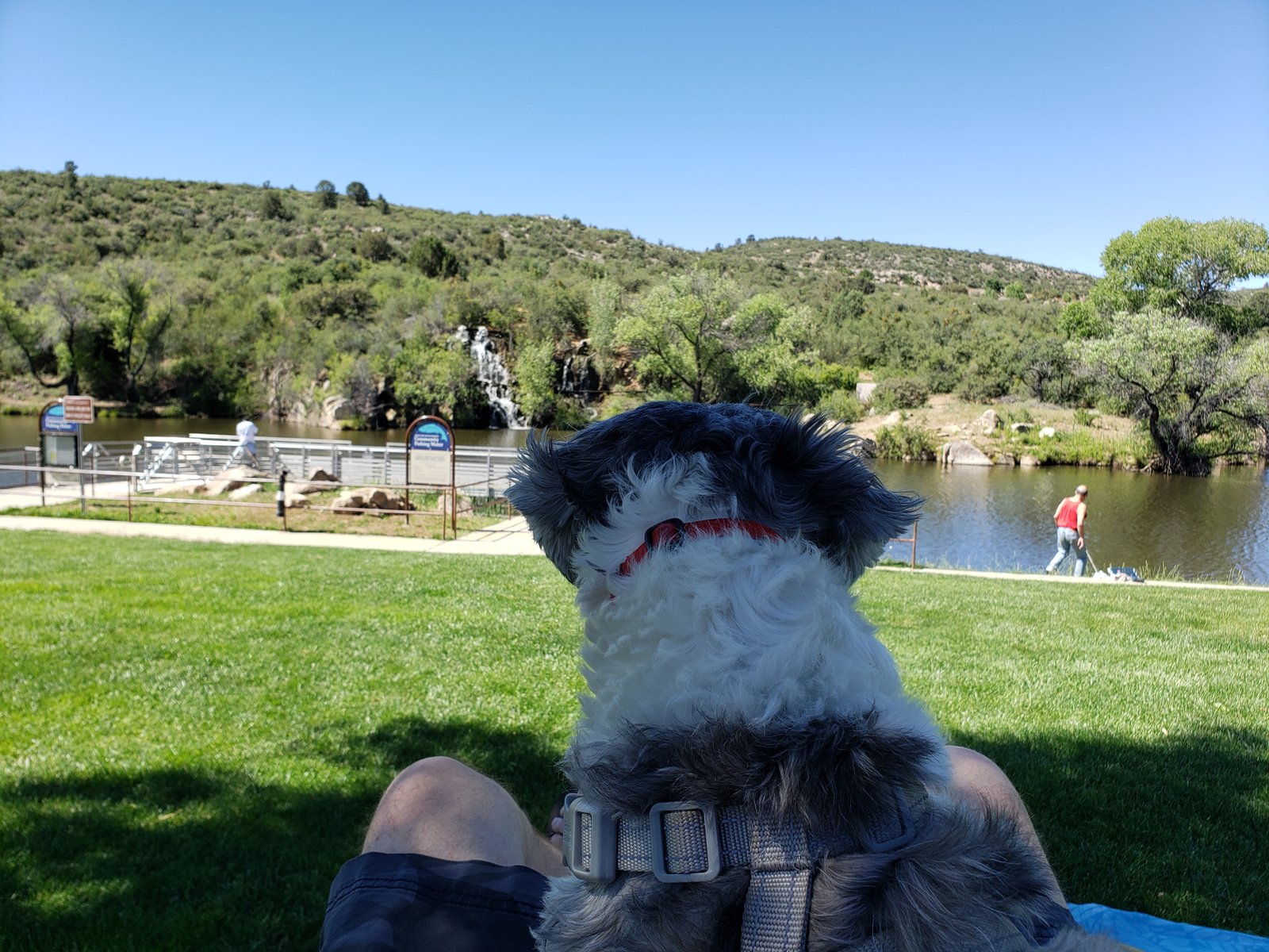 20190608_094749