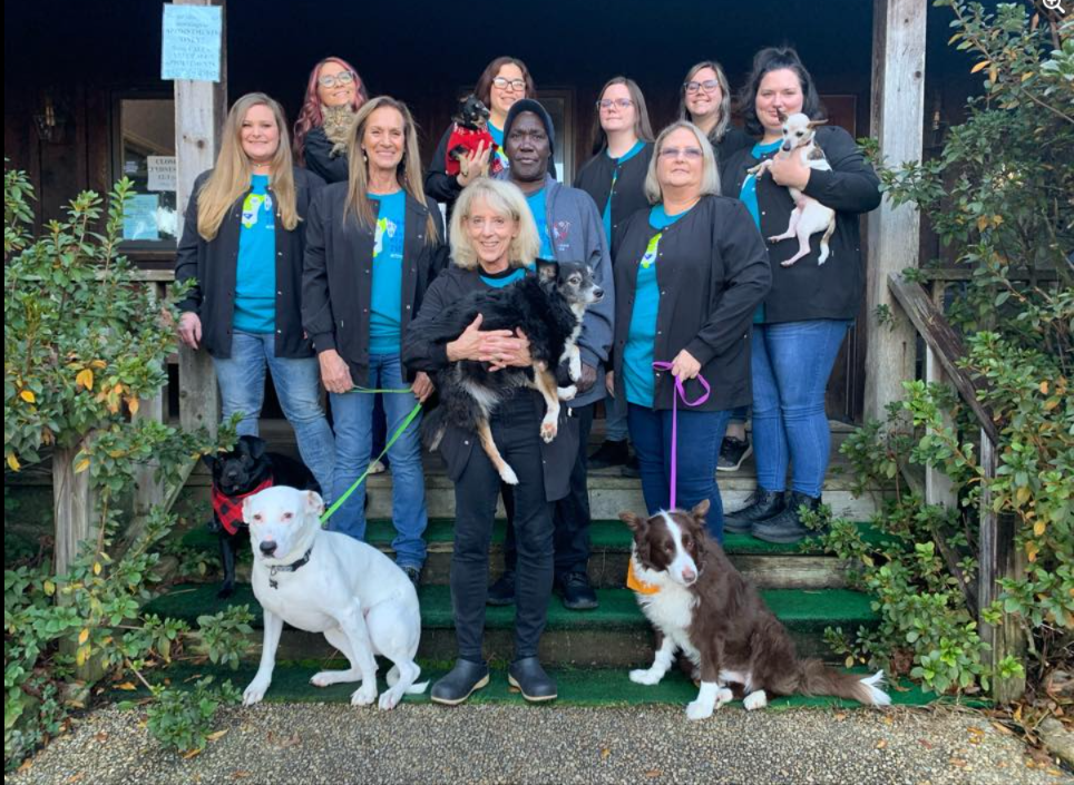 Wayside Animal Hospital