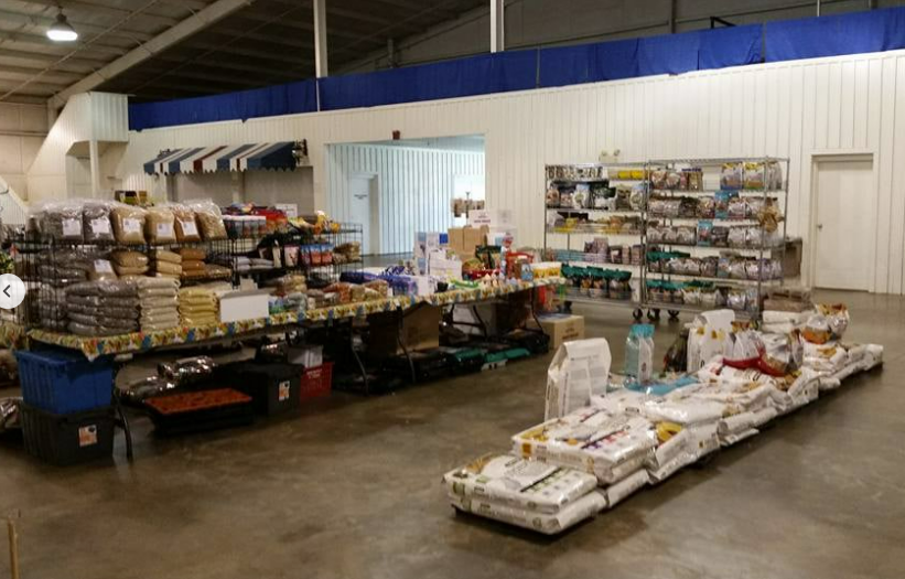 Bird Buffet N Things