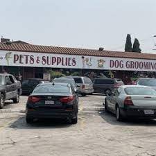 34_Pet_Shop