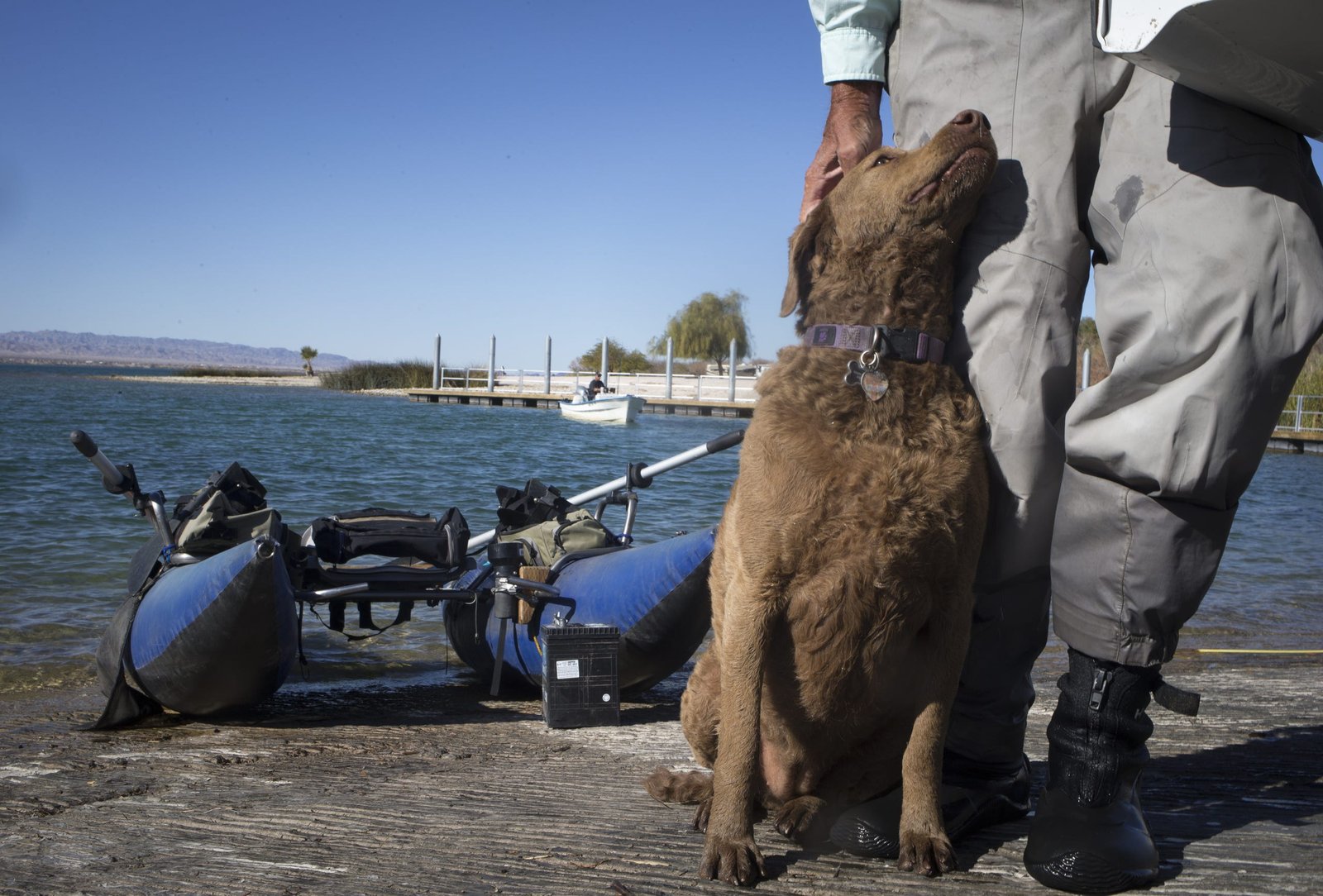 636547323980634460-Lake-Havasu-State-Park003