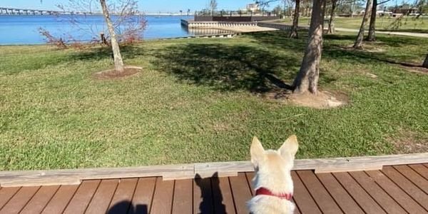 652989-1620417824-wide