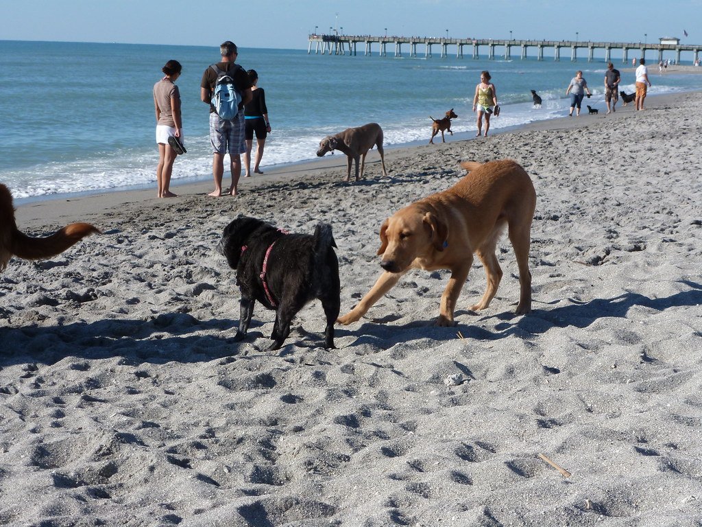 6640039885_247f23dce2_b