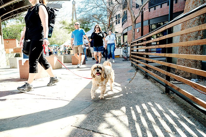 6smdogblog_010