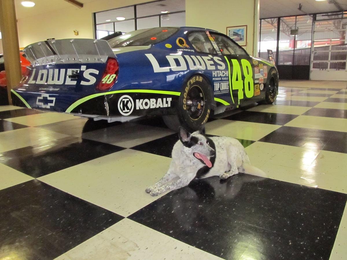 ALInternationalMotorsportsHallOfFame_05JPG