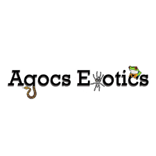 Agocs_Exotics