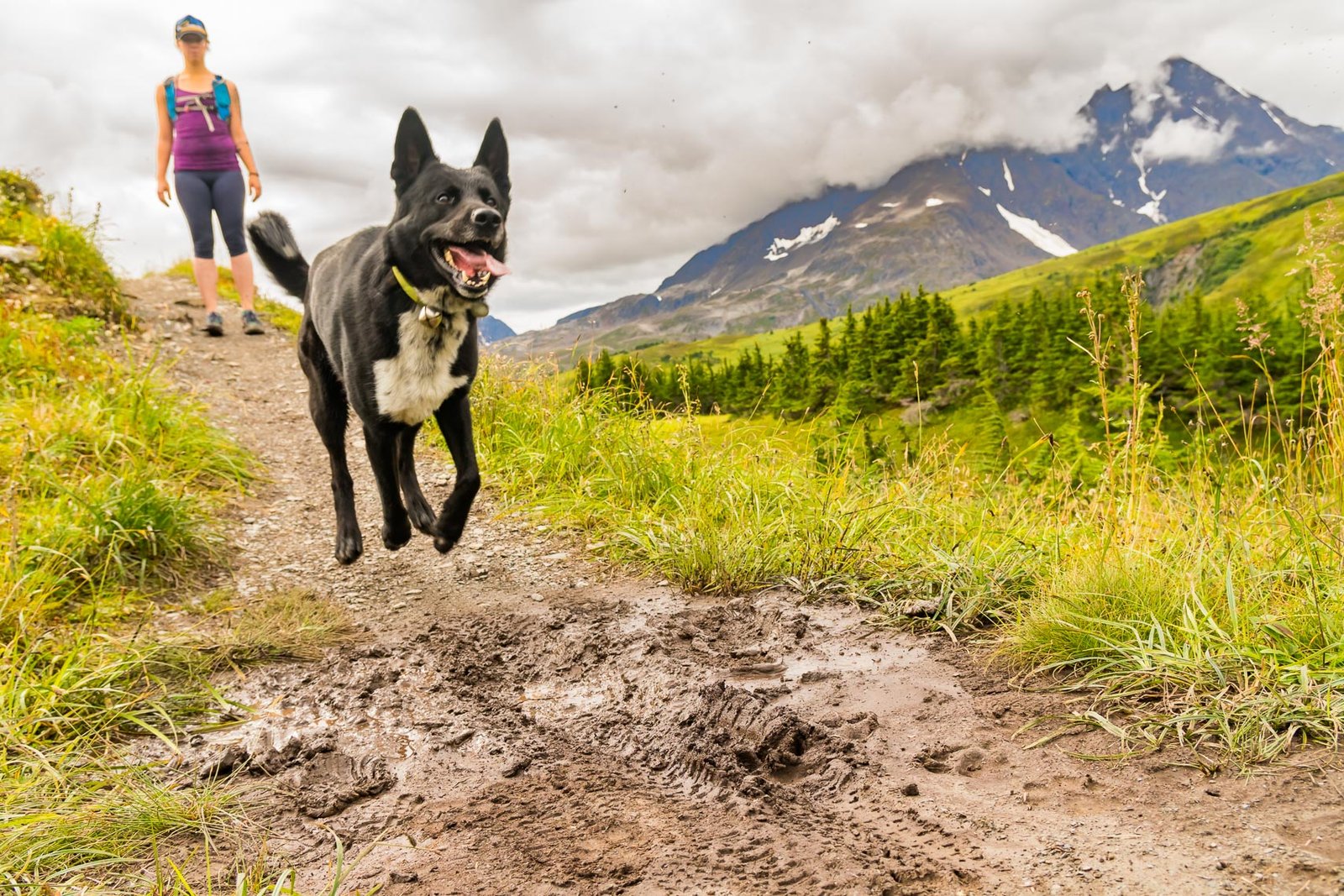 Alaska-MD170819FAK_TR015