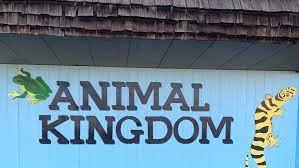 Animal_Kingdom_Grooming