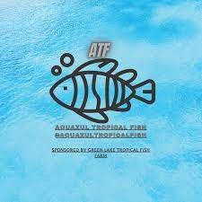 Aquazul_Tropical_Fish_LLC