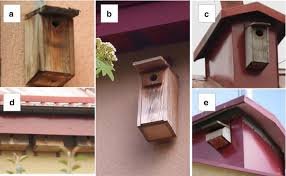 Boxes_for_Birds