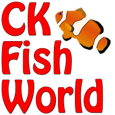 C_K_Fish_World