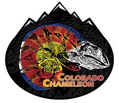 Colorado_Chameleon